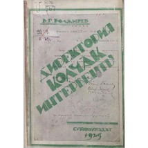 Болдырев В.Г., Директория, Колчак, Интервенты. Воспоминания, 1925